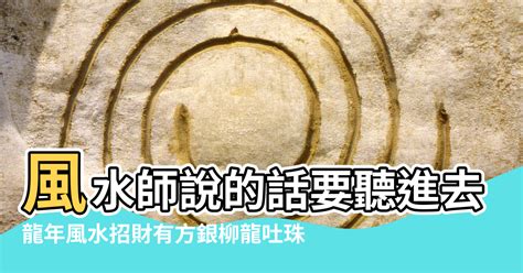 銀柳佈置|風水師說的話要聽進去！過年玄關放銀柳招財旺運